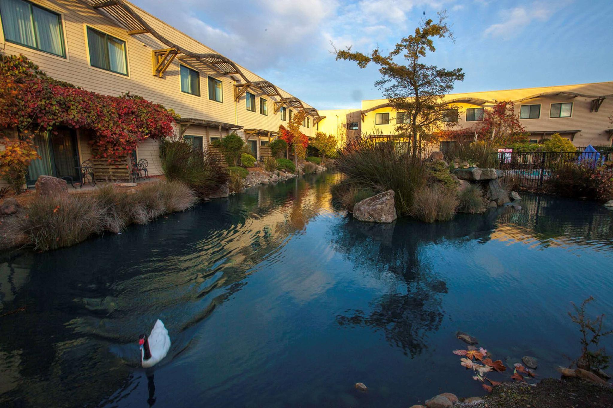 Doubletree By Hilton Napa Valley - American Canyon Kültér fotó